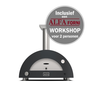 Alfa Forni Pizzaoven Moderno 2 Pizze Grijs Hybride