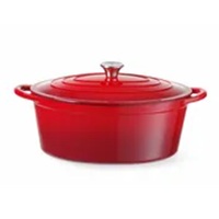 Geëmailleerd Gietijzeren Pan Ovaal 6.9 L