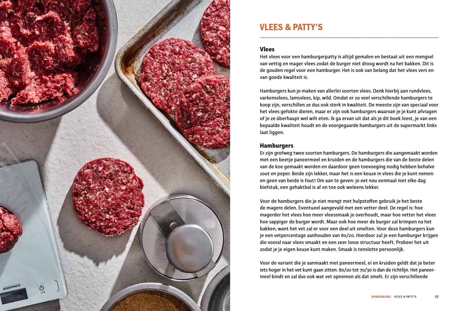 Burgerbijbel - Afbeelding 8