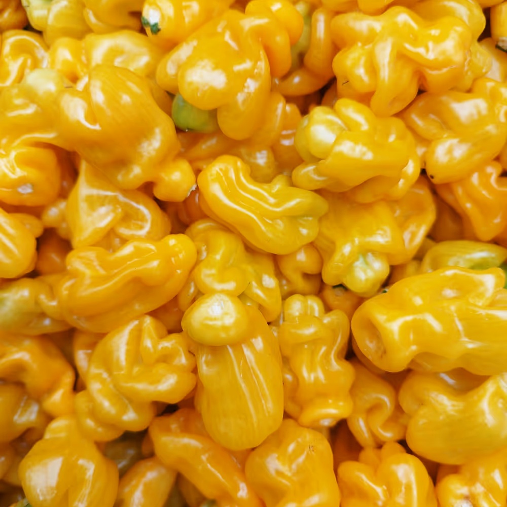 Tomasu Sambal 165 gr