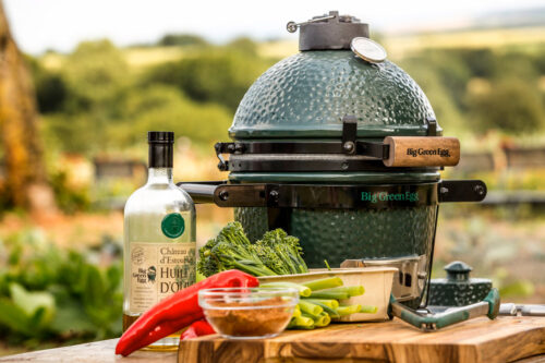 Big Green Egg Mini